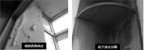 母親節(jié)特輯 ¦ 10天為母親煥愛(ài)心居室_福建乳膠漆品牌廠家