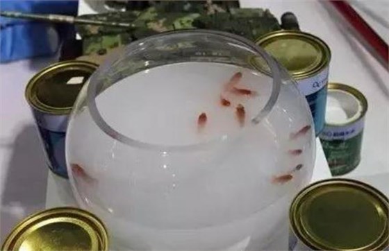 修煉內(nèi)功，讓行業(yè)水性漆回歸健康軌道_深圳水性木器漆品牌廠(chǎng)家