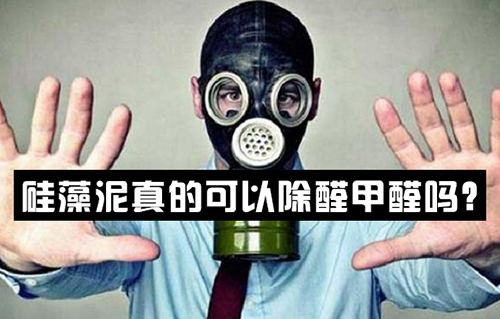 硅藻泥真的可以除醛甲醛嗎？