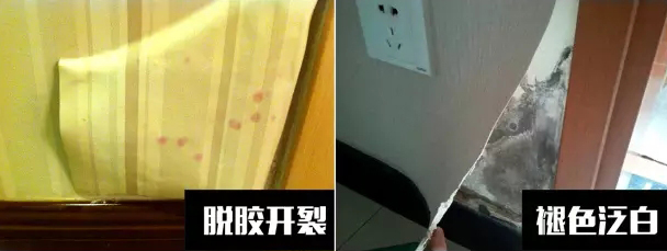 〖家裝資訊臺〗潮濕天氣，房子剪開壁紙全是蘑菇