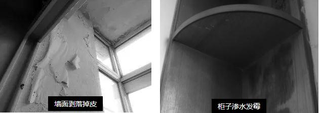 母親節(jié)特輯 ¦ 10天為母親煥愛(ài)心居室_福建乳膠漆品牌廠家